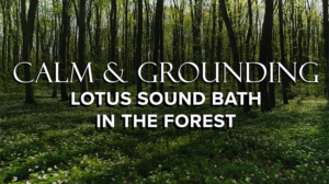 Calm & Grounding Sound Bath