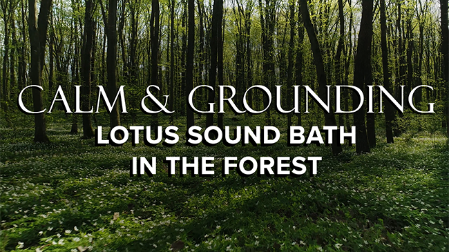 Calm & Grounding Sound Bath